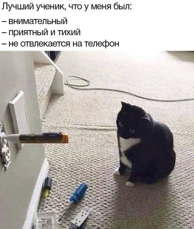 Приколы с налетом деградации