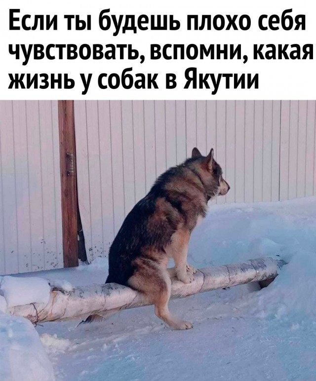 Картинки из Дристоля - 3