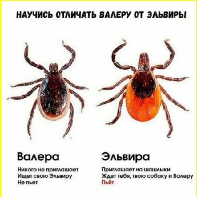 ТЛидцать тЛи от 5 апЛеля