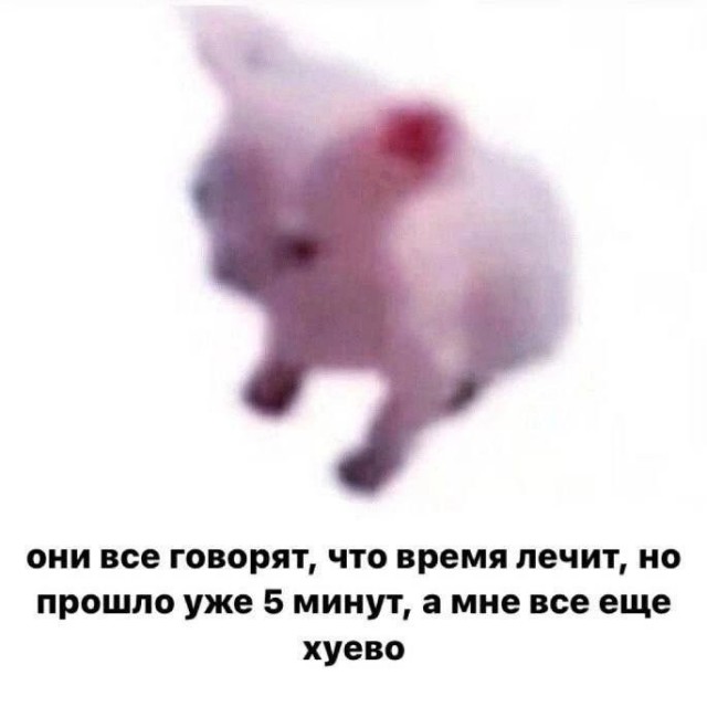 Всего понемногу. От 08.04.2024