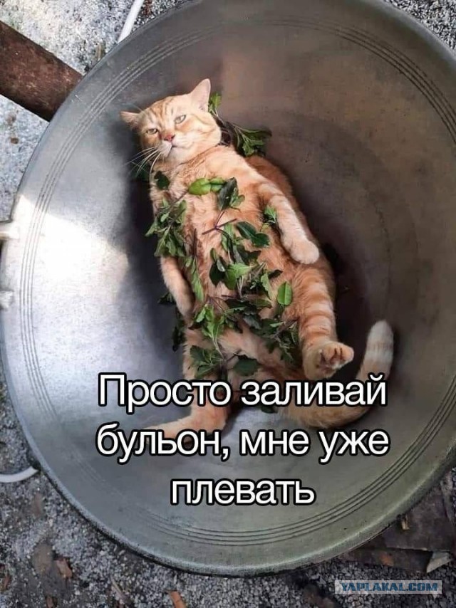 Когда уже привык настолько, что тебе всё пофигу
