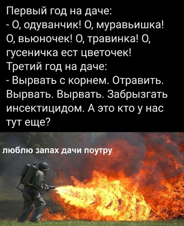 Никакие картинки