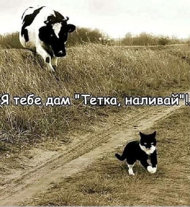 Картинки разные с надписями и без
