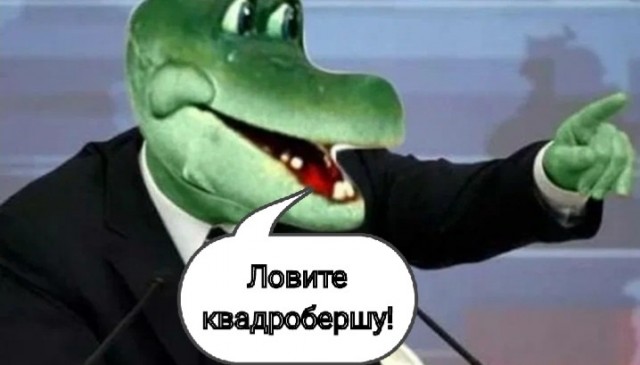 Как вам шапочки?