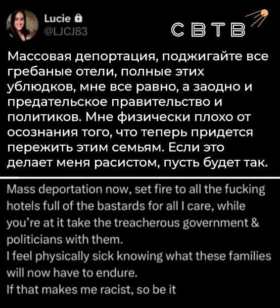 Жену английского депутата приговорили к  2.5 года тюрьмы за пост с призывом сжигать мигрантов