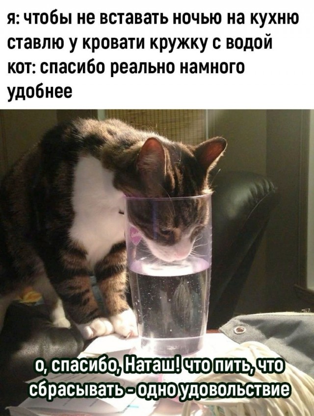 Оскар за лучшую роль в номинации "Драма"