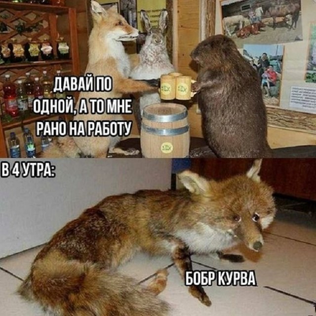 Картинки разные с надписями и без