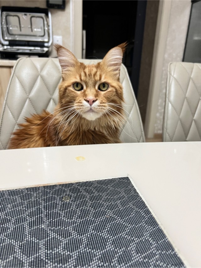 Блин. На меня пацан обиделся!