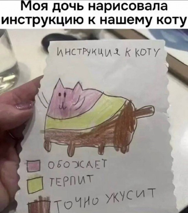 Всего понемногу. От 14.02.2025