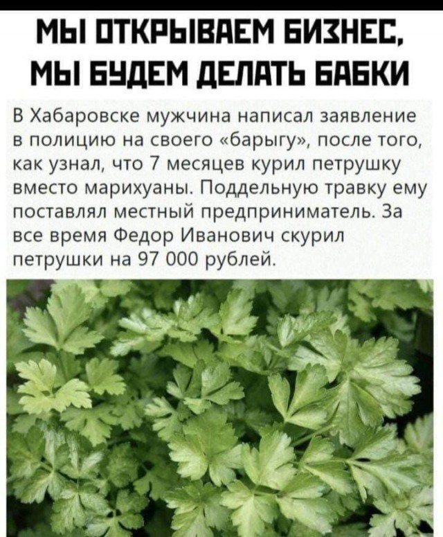 Так себе картинки 21.02.25