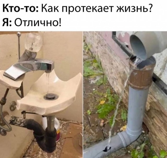 Веселые картинки в пятницу (28.03)