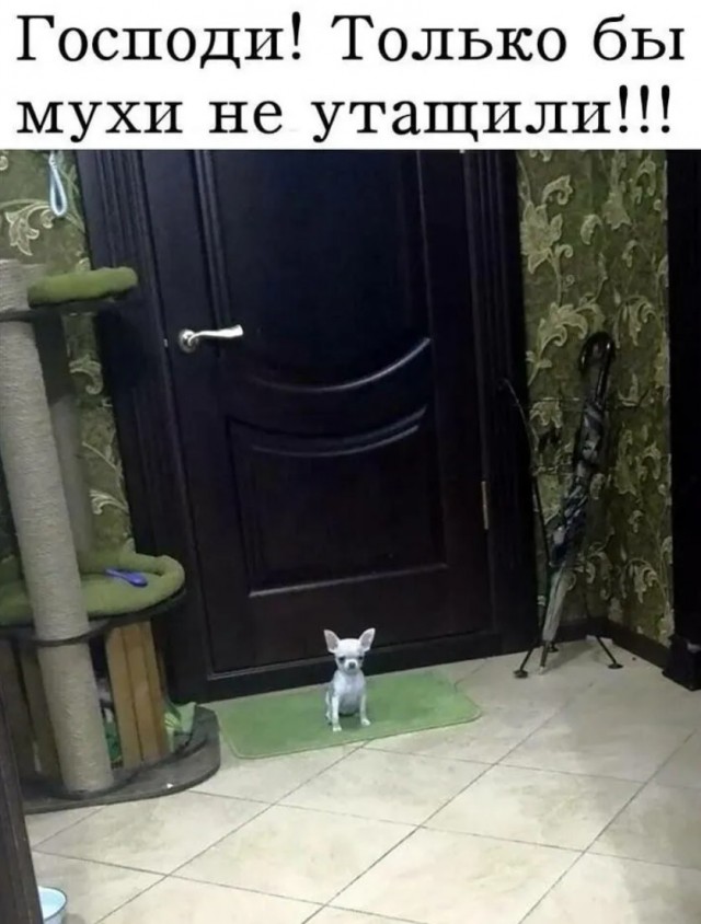 Завалялось тут случайно немного забавных картинок