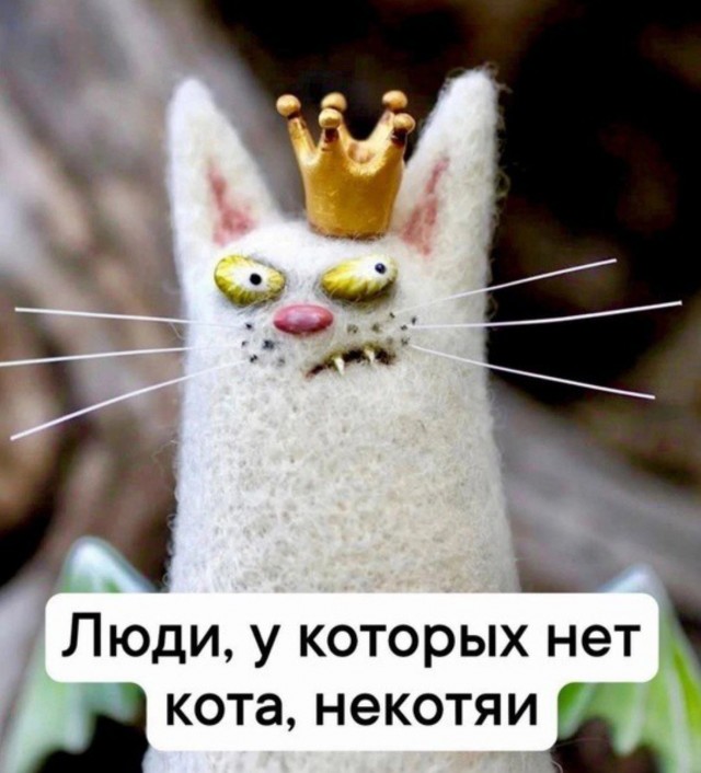 К котовторнику: подборка картинок-баянов с котиками и про котиков. Выпуск 3.
