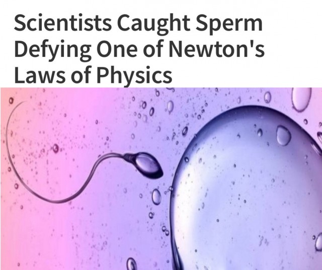 Человеческая сперма нарушает законы физики