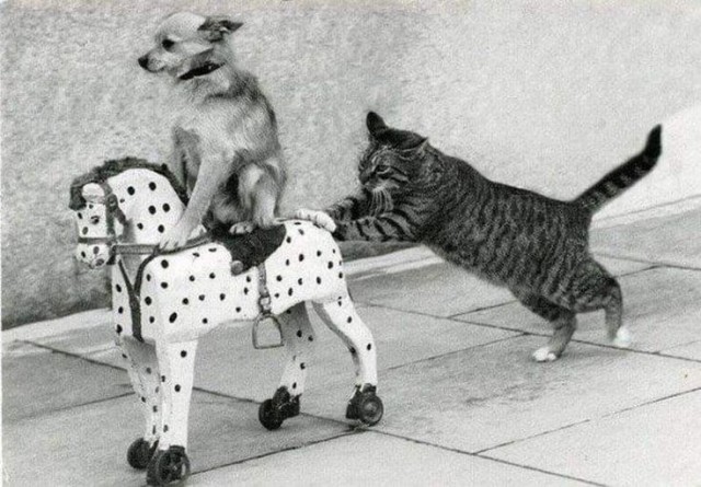 "Михаил Кутузов" - один из последних артиллерийских крейсеров СССР