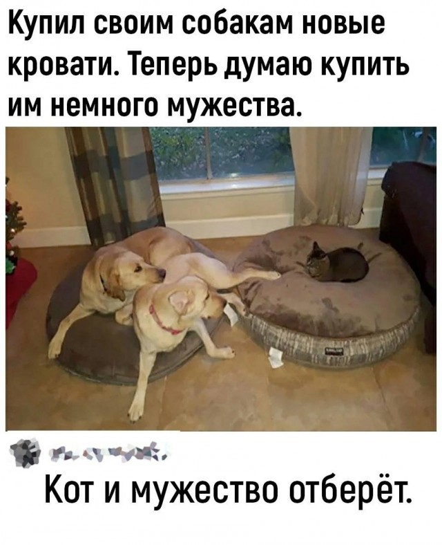 Немного картинкафф для настроения (баяны-перебаяны)