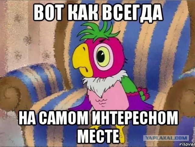 Дипломная работа книга 2 ( археологи )