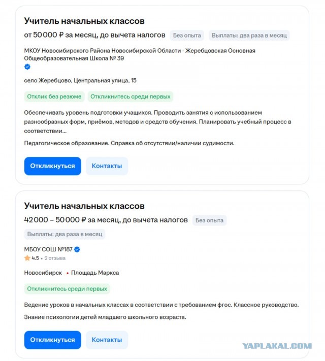 Жена новосибирского депутата выложила фото из Дубая и раскритиковала недовольных