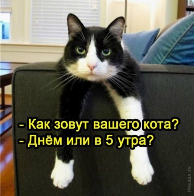 Веселые картинки в пятницу (27.03)