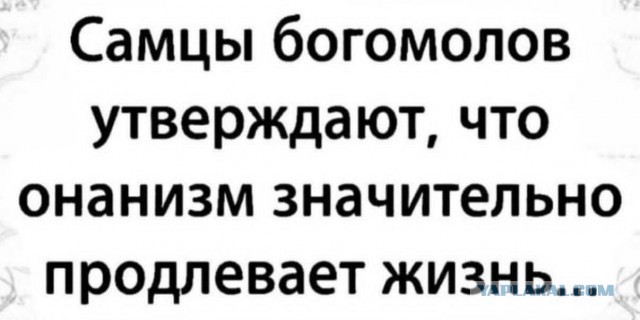 Веселые картинки в пятницу (17.04)