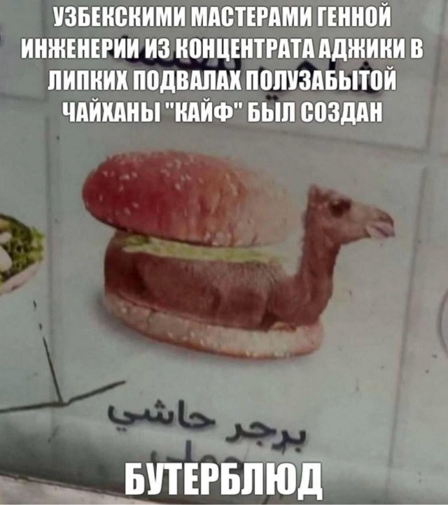 Веселое настроение в картинках (06.05.2026)