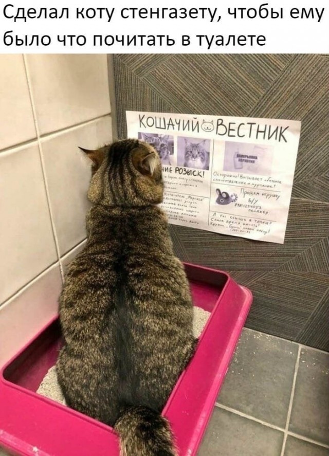Ещё бы смывать умел