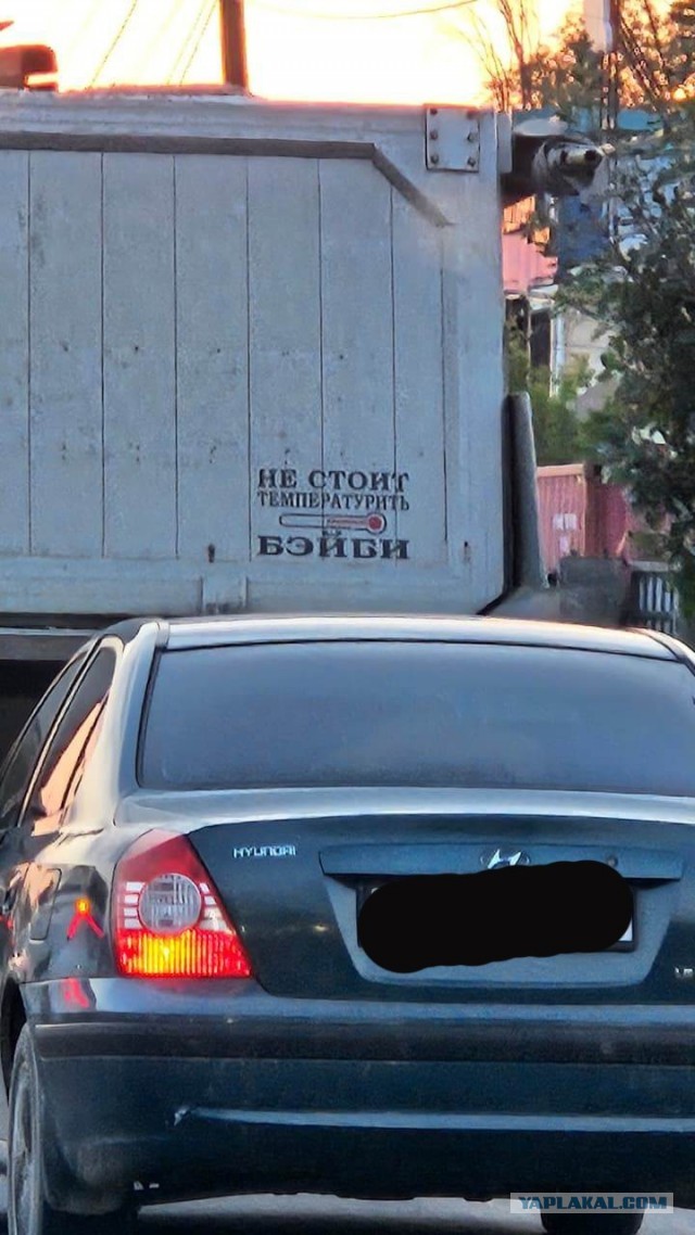 Автошутники и автофилософы