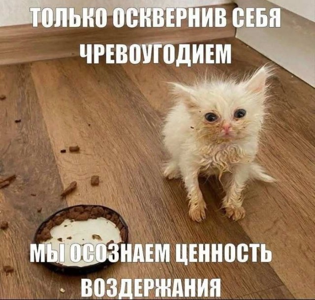 Картинки для деградации 218 (разной степени свежести)