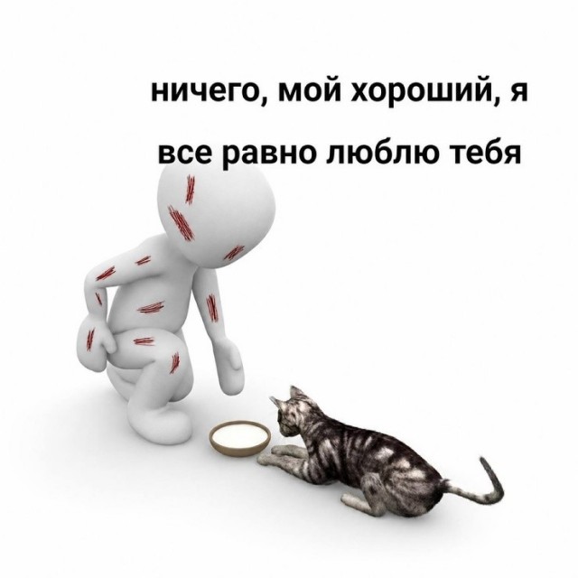 Картинки для деградации 242 (разной степени свежести)