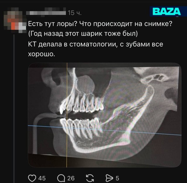 Зумеры и миллениалы начали искать врачей среди своих подписчиков, чтобы сэкономить на походах в клиники