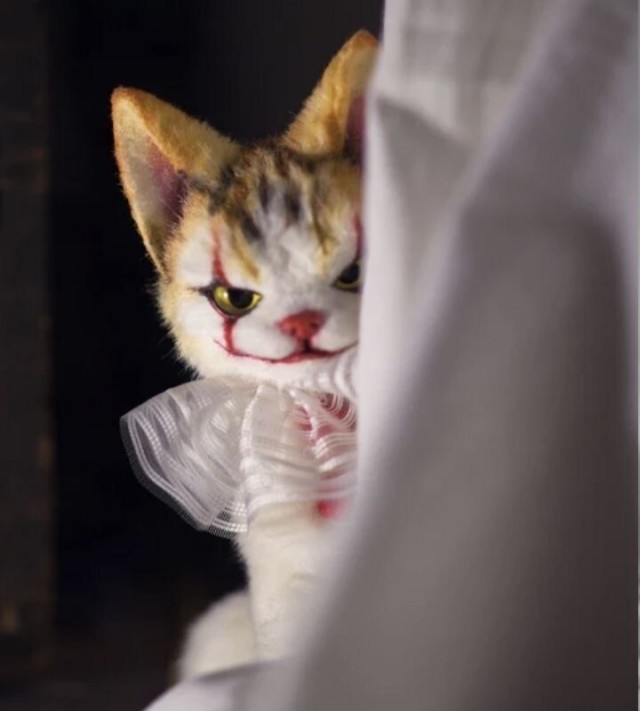 Котеек необычных псто