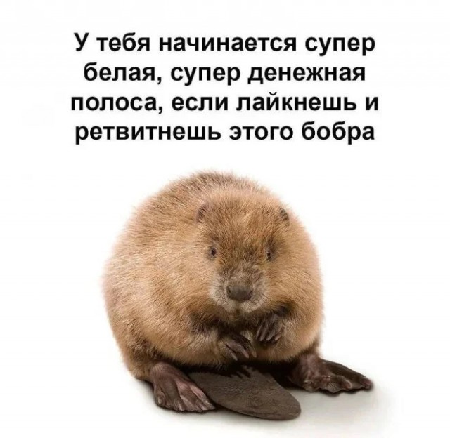 Картинки на вторник