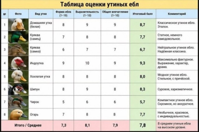 Натаха переехала в Германию и никак не может привыкнуть