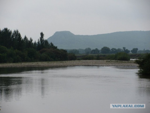 Природа Приморского края