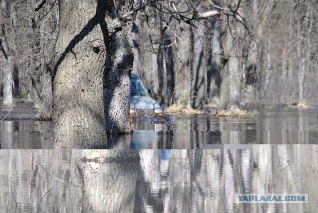 2121 или 33 года