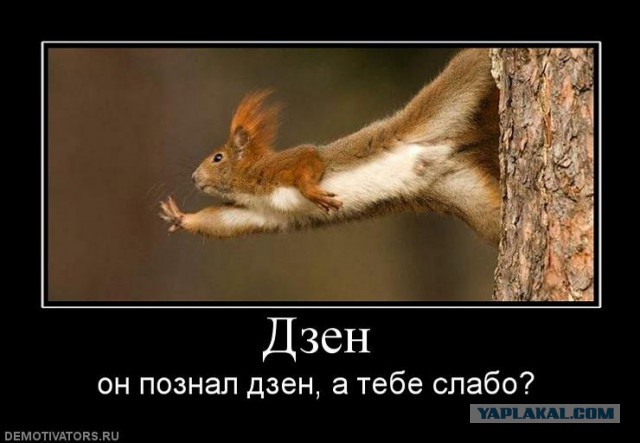 Немного позитива на пятницу