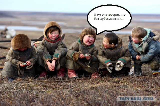 Норковая шуба - Айфон среди одежды