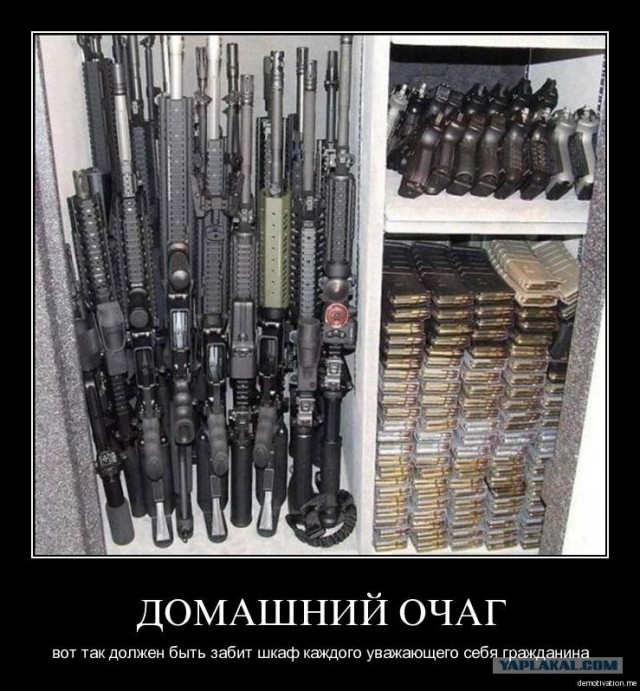 Америка оружейная