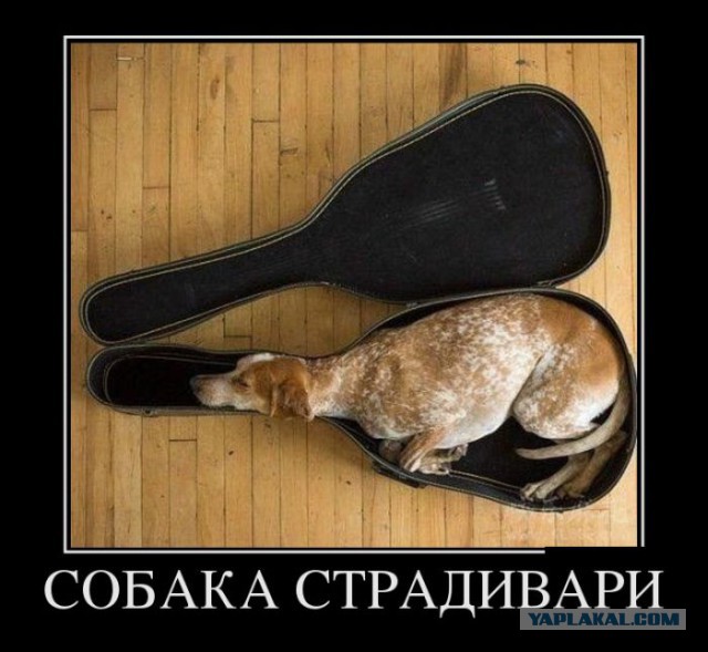 Улыбнемся в понедельник!