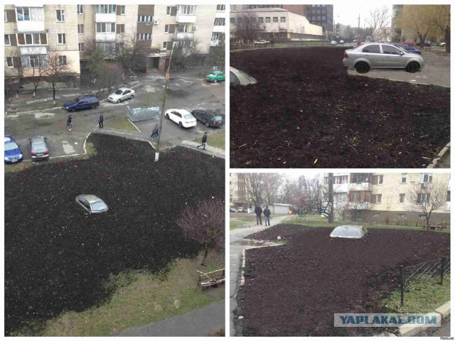 Подборка автоприколов