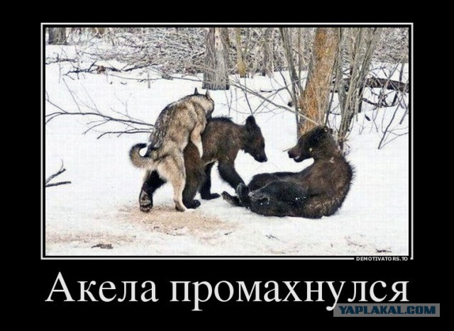 Картинки с буквами -11