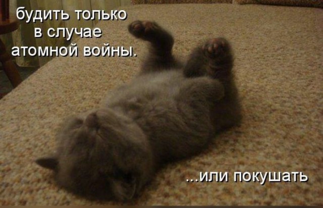 Веселые картинки