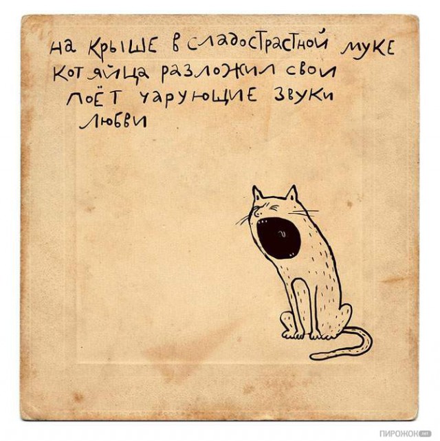 Минутка наркомании на ЯПе