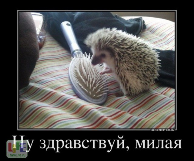 Здравствуйте