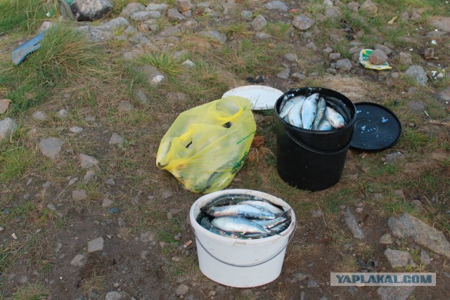 Авианосец «Адмирал Кузнецов». Или как его ласково называют моряки - "Кузя"