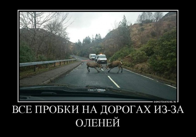 Откуда берутся пробки на дорогах