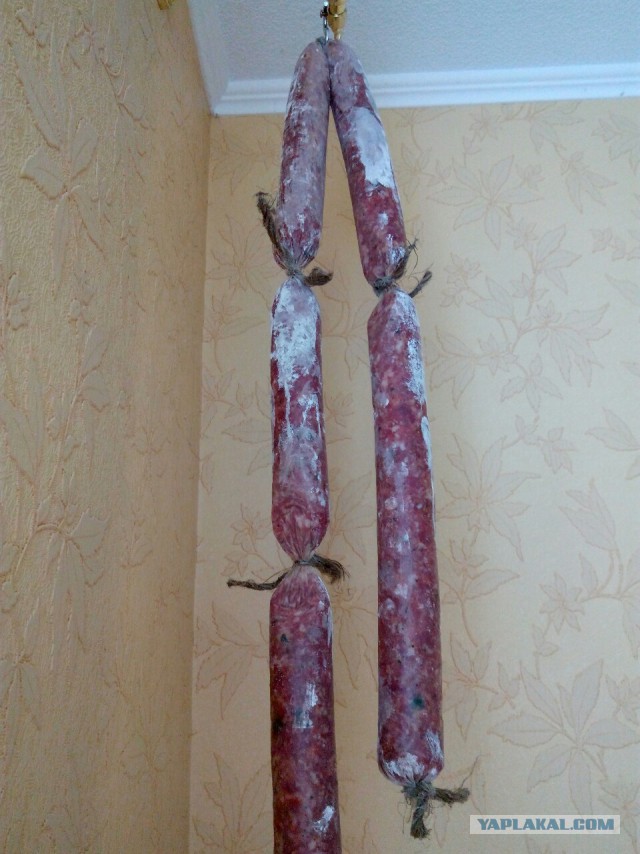 Колбасный FAQ. Делимся опытом, задаем вопросы, обсуждаем технологии.