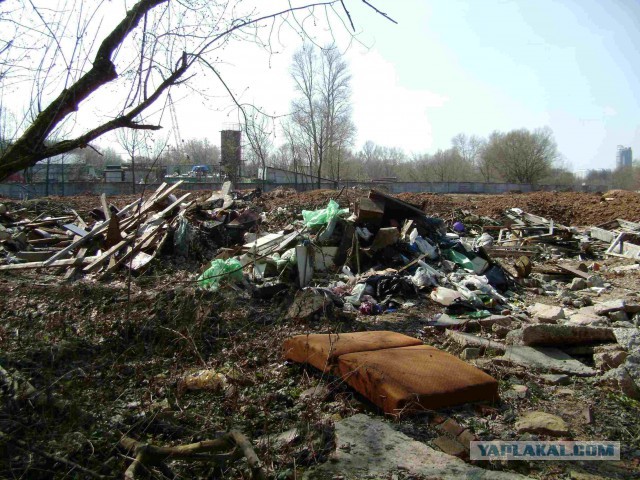 В Москве на Химкинском водохранилище произошла экологическая катастрофа