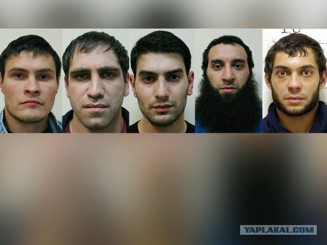 Москвичам из хрущевок раздадут земельные наделы в Сибири