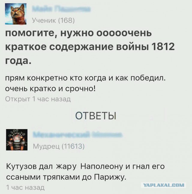 Подборка интересных и веселых картинок